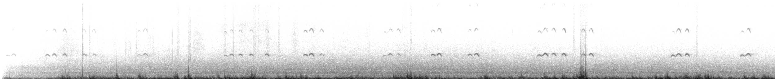 Royal Tern - ML618530180
