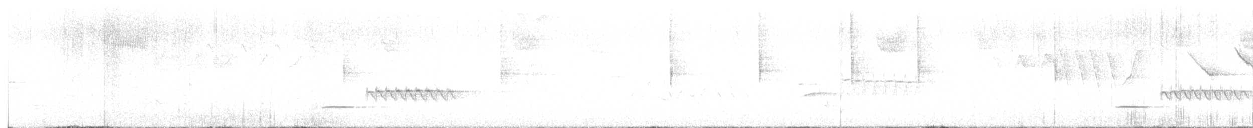 Смугастоволець білобровий - ML618530472