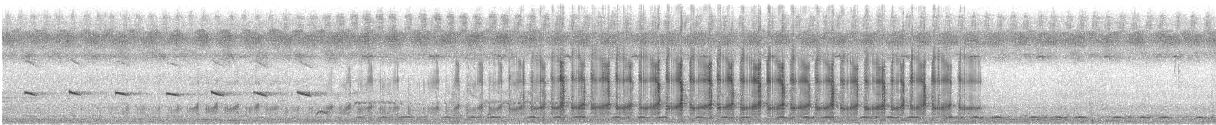 Turdoide Cabecinegro (reinwardtii) - ML618533034