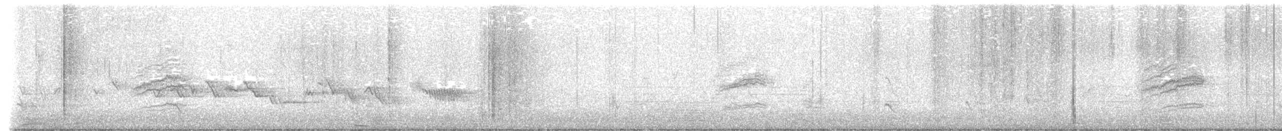 Münzevi Bülbül Ardıcı [auduboni grubu] - ML618535240