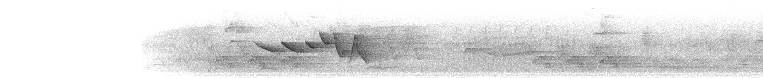 チャカブリアメリカムシクイ - ML618536107