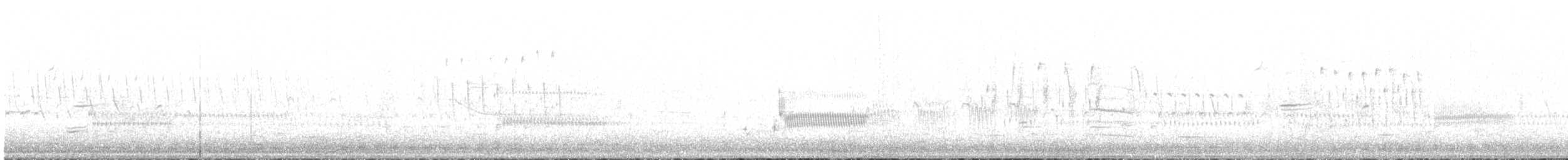 Troglodyte des marais - ML618536234