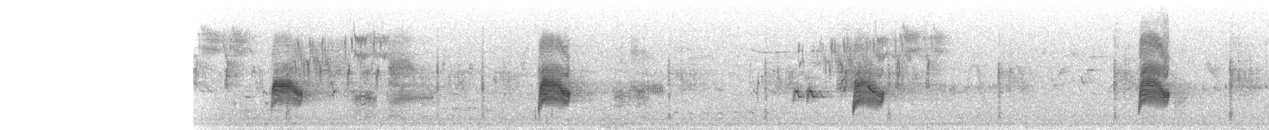 アメリカヨタカ - ML618539116