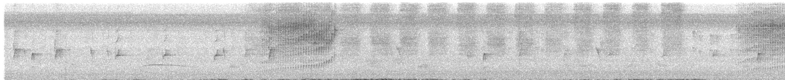 Поплітник плямистий - ML618539393