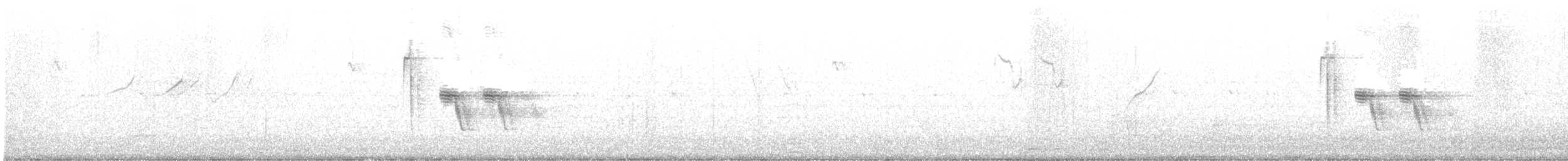 sýkora koňadra [skupina major] - ML618540541