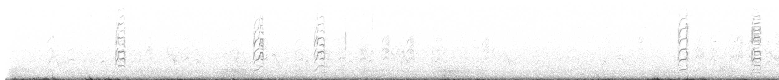 Little Tern - ML618541023