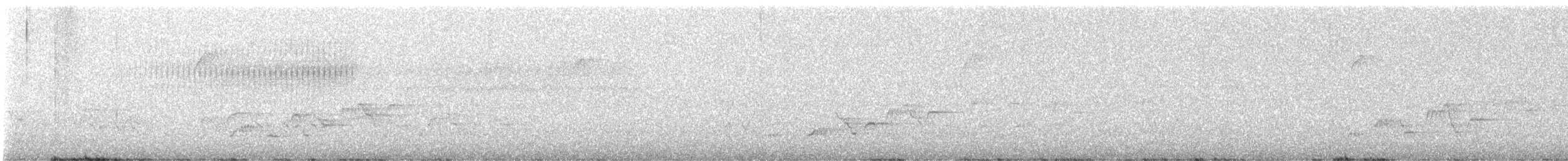 brunkinnskogtrost (swainsoni gr.) - ML618547746
