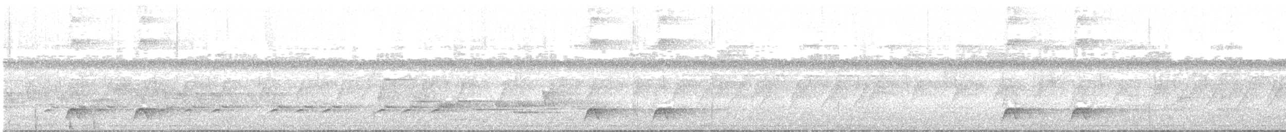 Batılı Kara Başlı Pitta (cucullata) - ML618550798