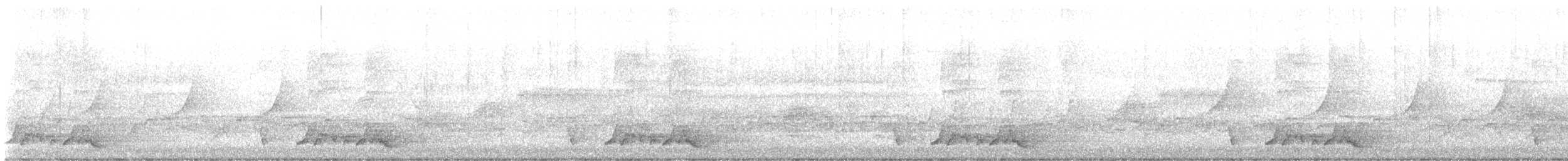 lelek karolinský - ML618553797