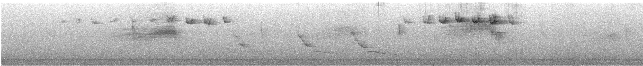 Blackpoll Warbler - ML618553903