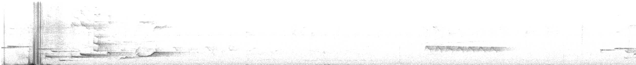 Белогорлая веерохвостка - ML618563827