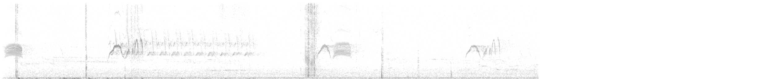 Weißbauch-Phoebetyrann - ML618565553