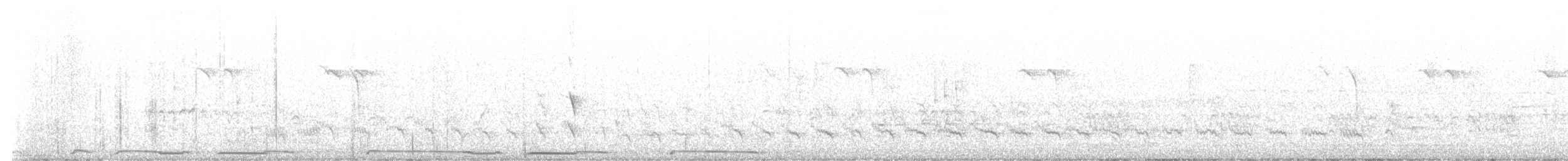 Тиранчик-тонкодзьоб північний - ML618567959
