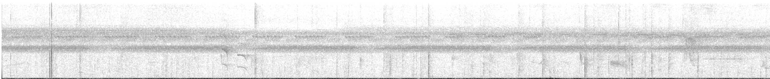 Weißflanken-Ameisenschlüpfer - ML618568464
