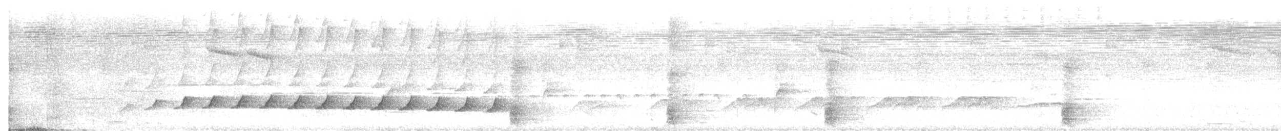 Cocoa Woodcreeper (Lawrence's) - ML618569600