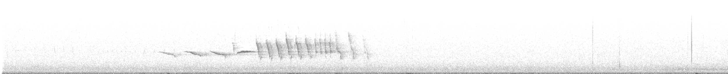 オジロヒメドリ - ML618571384