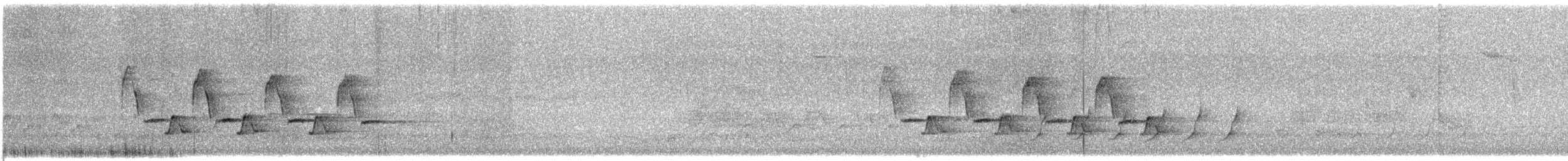 Поплітник каролінський - ML618571823