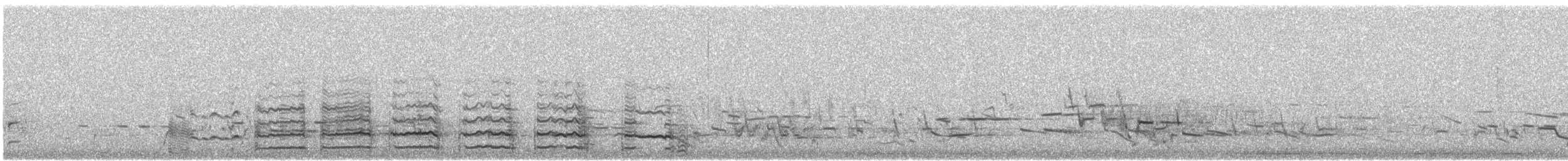 raroh prériový - ML618573015