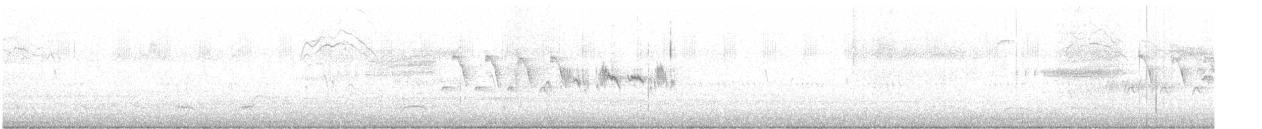 Black-throated Gray Warbler - ML618574855