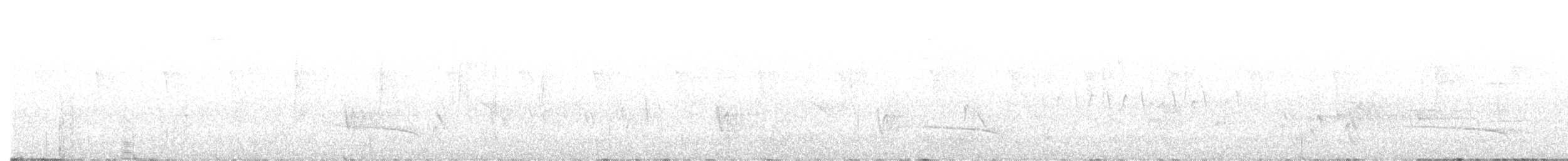 Каштановогрудый сорокопутовый виреон - ML618574979