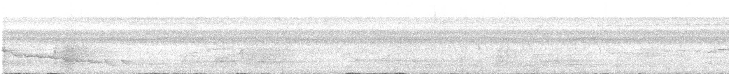 ハシナガミソサザイ - ML618575080