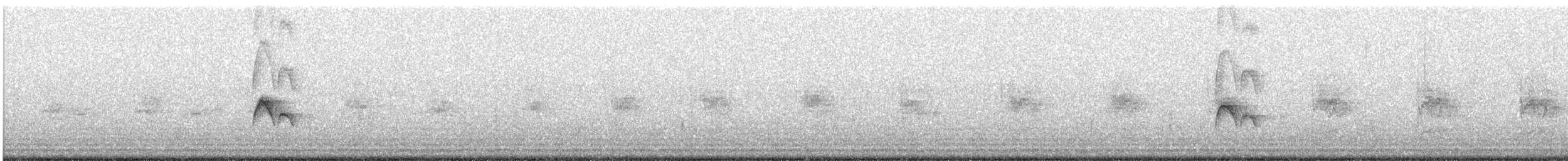 Тиранчик-короткодзьоб північний - ML618578206