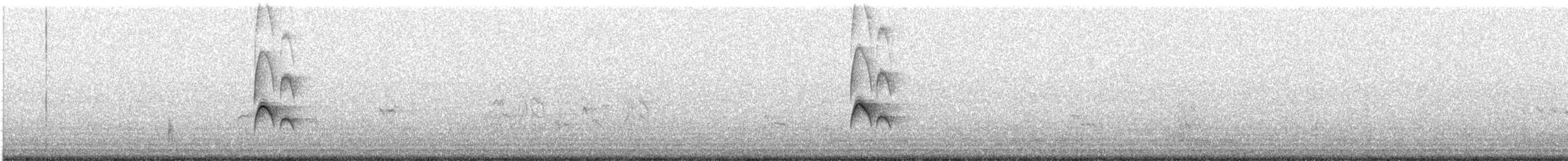 Тиранчик-короткодзьоб північний - ML618578208