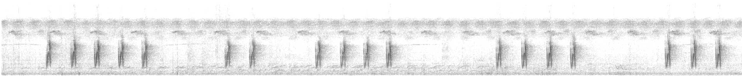 Grünmantel-Bogenflügel [brevicaudata-Gruppe] - ML618578648