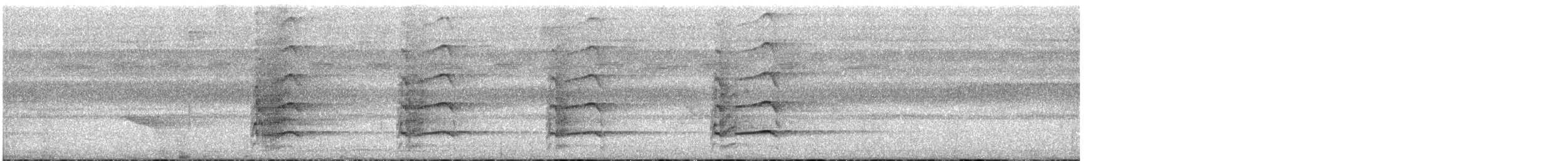 Bindenarassari - ML618578882