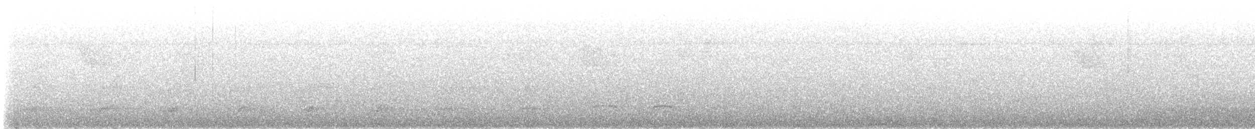 Streifenkopf-Ameisenvogel - ML618580100
