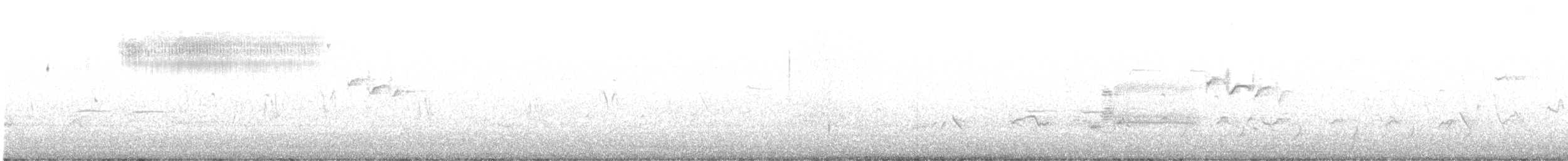 Кузнечиковая овсянка-барсучок - ML618583737