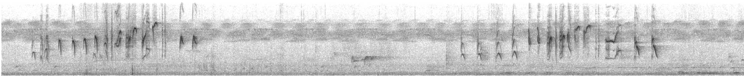 Uzun Kuyruklu Nektarkuşu (pulchellus) - ML618584975