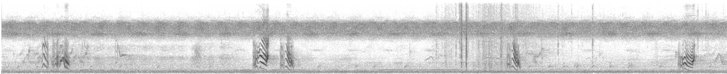 purpurglansstær - ML618585254