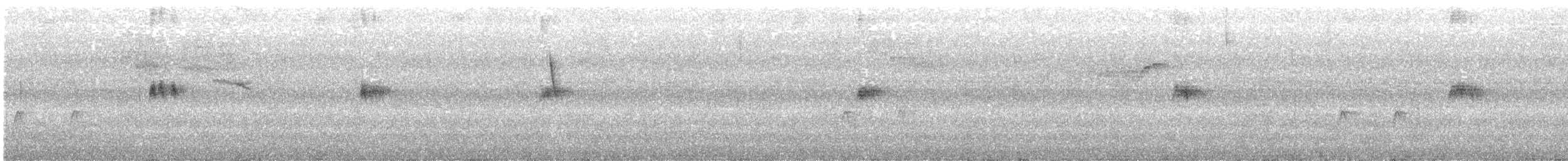 Mirlo Acuático Norteamericano - ML618585278