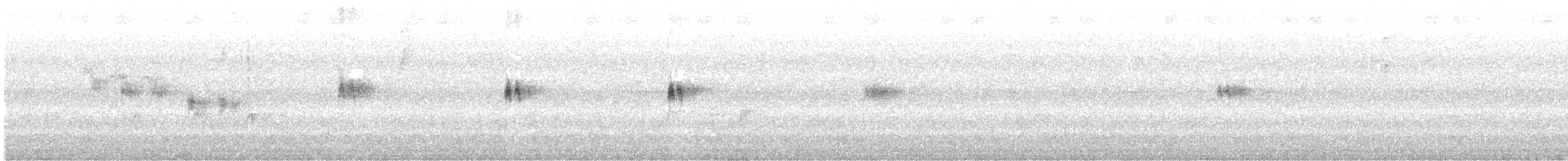 Mirlo Acuático Norteamericano - ML618585288