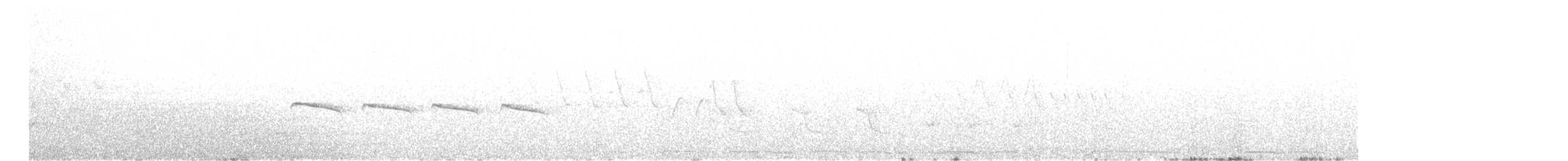 Тиранчик-тонкодзьоб північний - ML618590748