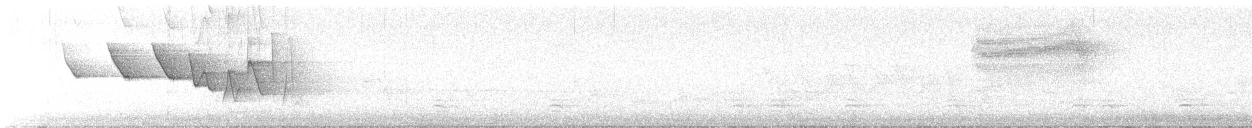 Chouette rayée - ML618591307