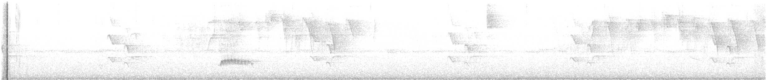 Graustirn-Dickichtschlüpfer - ML618591605
