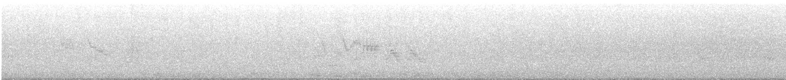 Gri Yanaklı Bülbül Ardıcı - ML618591956