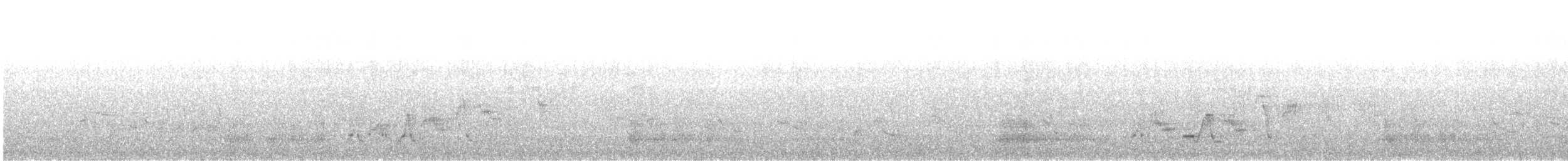 Дрізд-короткодзьоб Cвенсона - ML618592132