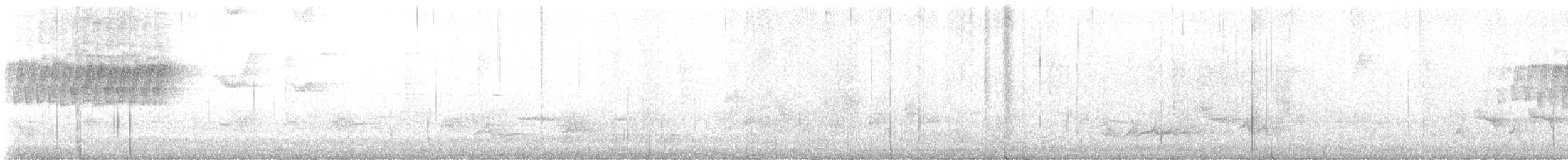 Paruline vermivore - ML618594825