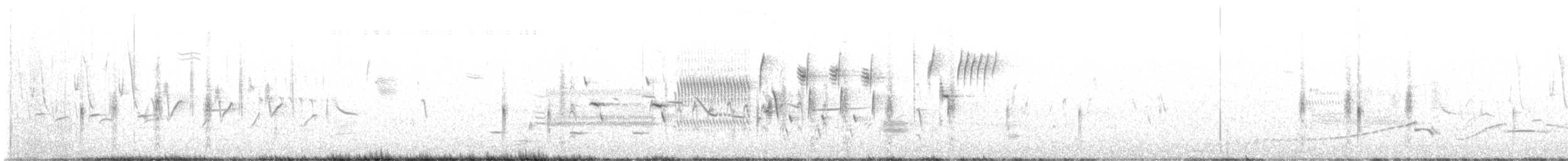 bartramie dlouhoocasá - ML618595488