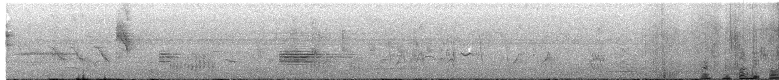 キビタイコノハドリ - ML618600173