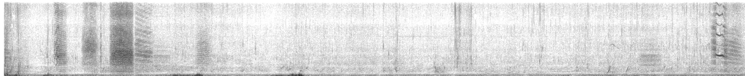 Black-naped Tern - ML618602212