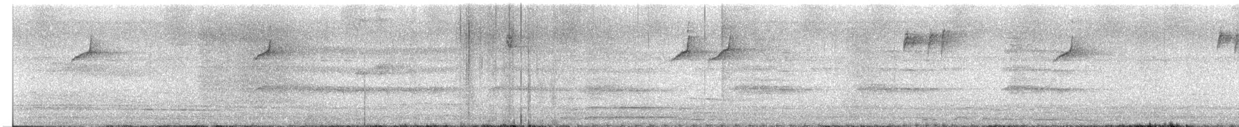 Visayan Rhabdornis - ML618604835