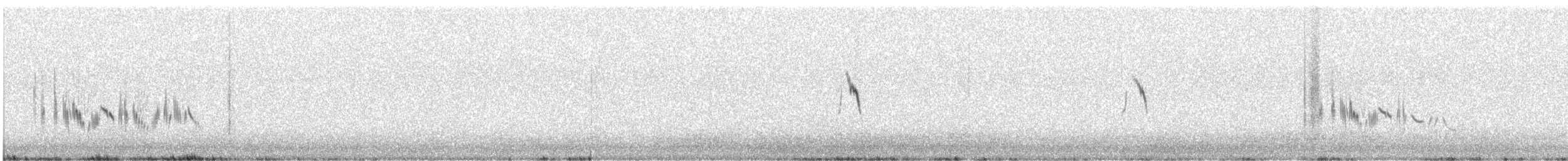 Batılı Kara Kulaklı Kuyrukkakan - ML618606385