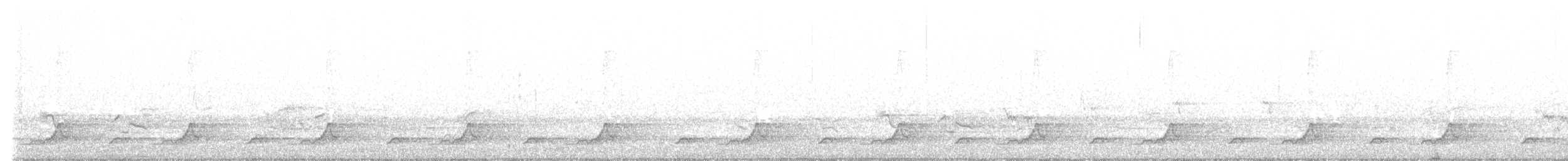 Schwarzkehl-Nachtschwalbe - ML618609780