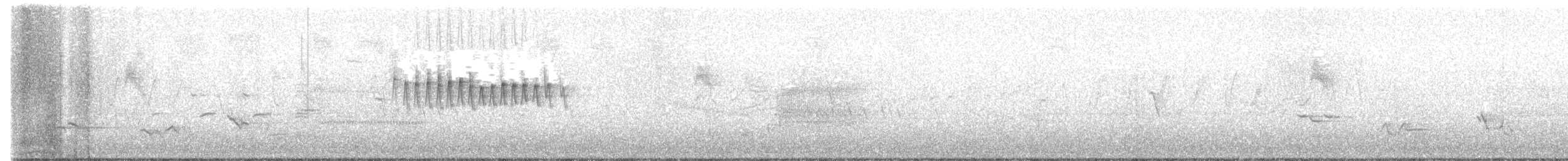 Orange-crowned Warbler - ML618611853