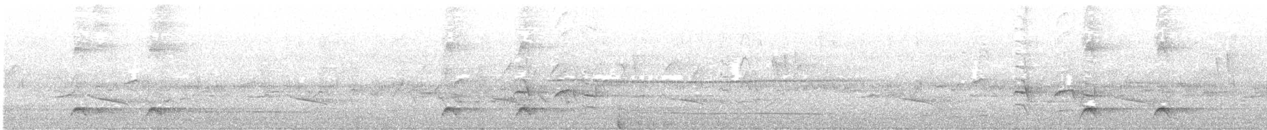 Batılı Kara Başlı Pitta (cucullata) - ML618612016