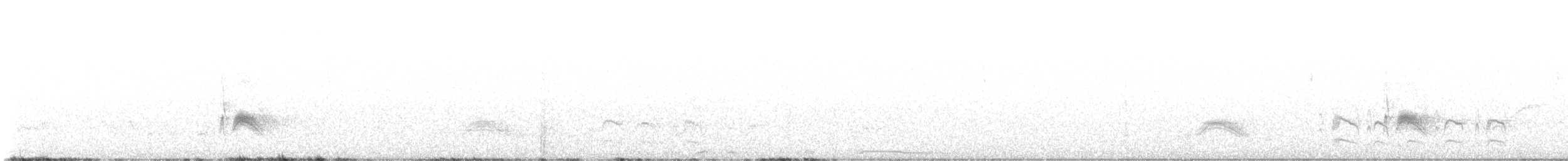 Серогрудый тиранн - ML618612091